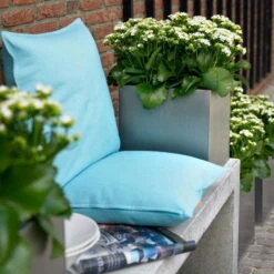 Kalanchoe 'Calandiva'®, Weiß, Topf-Ø 12 Cm, Höhe Ca. 27,5 Cm, 6er-Set -Stilvolles Gartenmöbelgeschäft 0210350168 Kalanchoe Cal weiss2