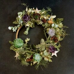 Schnittecheverien-Mix, Ø 16 Cm, 2er-Set -Stilvolles Gartenmöbelgeschäft 0250103364 Echeveria Mix 7 10cm in DIY Box 5 117175 4