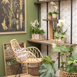 Phalaenopsis, Weißtöne, 2 Rispen, Topf-Ø 9 Cm, Höhe Ca. 30 Cm 12 Phalaenopsis, Weißtöne, 2 Rispen, Topf-Ø 9 Cm, Höhe Ca. 30 Cm -Stilvolles Gartenmöbelgeschäft 0290100048 3