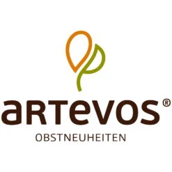 Kölle Bio Zwergaprikose 'Aprigold'®, Topf 7,5 Liter 7 Kölle Bio Zwergaprikose 'Aprigold'®, Topf 7,5 Liter -Stilvolles Gartenmöbelgeschäft 048067 ARTEVOS Logo 107721
