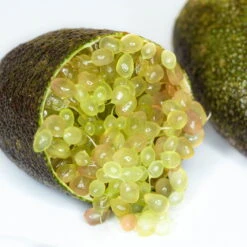 Fingerlimette, Topf-Ø 20 Cm, Höhe Ca.60 Cm 8 Fingerlimette, Topf-Ø 20 Cm, Höhe Ca.60 Cm -Stilvolles Gartenmöbelgeschäft 0630100735 Citrus australasica Stamm T20 H60 70 WS 2 98315 1