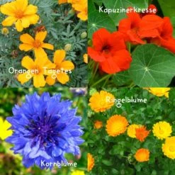 Blumensamen-Set Gourmet Blumen, Essbar, Bienenfreundlich, Dekorativ 9 Blumensamen-Set Gourmet Blumen, Essbar, Bienenfreundlich, Dekorativ -Stilvolles Gartenmöbelgeschäft 0710403583 Blumensamen Set Gourmet Blumen 4essbare Sorten mit organ Duenger 5 60480