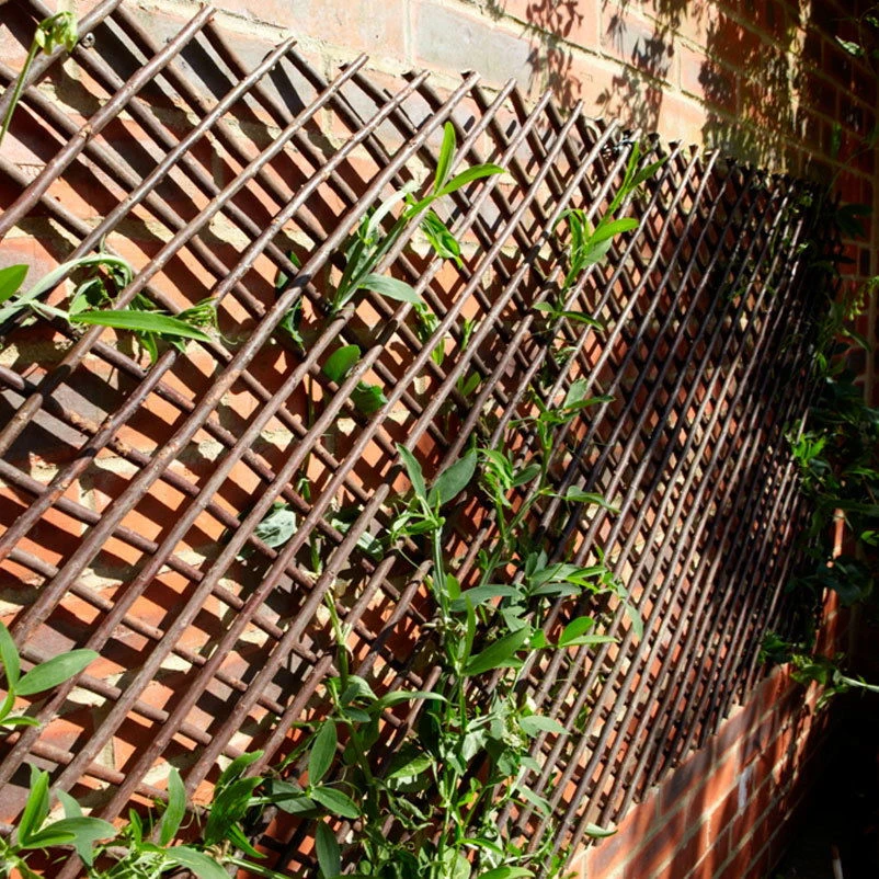 Ausziehbares Weidenspaliergitter, 180x60 Cm 1 Ausziehbares Weidenspaliergitter, 180x60 Cm