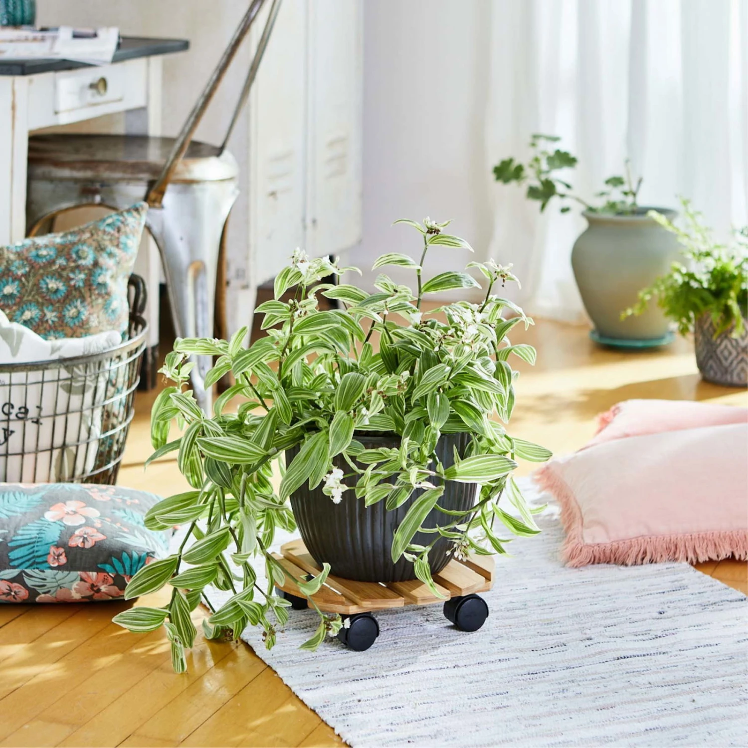 Multi Roller Bambus, 100 Kg Tragkraft, Ø 29 Cm 2 Multi Roller Bambus, 100 Kg Tragkraft, Ø 29 Cm – Bild 2