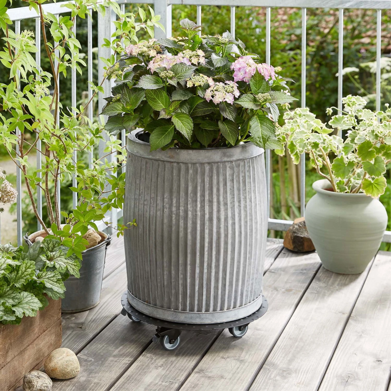 Pflanzenroller 'Alaska', Tragkraft 150 Kg, Anthrazit, Alu, 7 X 38 X 38 Cm 2 Pflanzenroller 'Alaska', Tragkraft 150 Kg, Anthrazit, Alu, 7 X 38 X 38 Cm – Bild 2