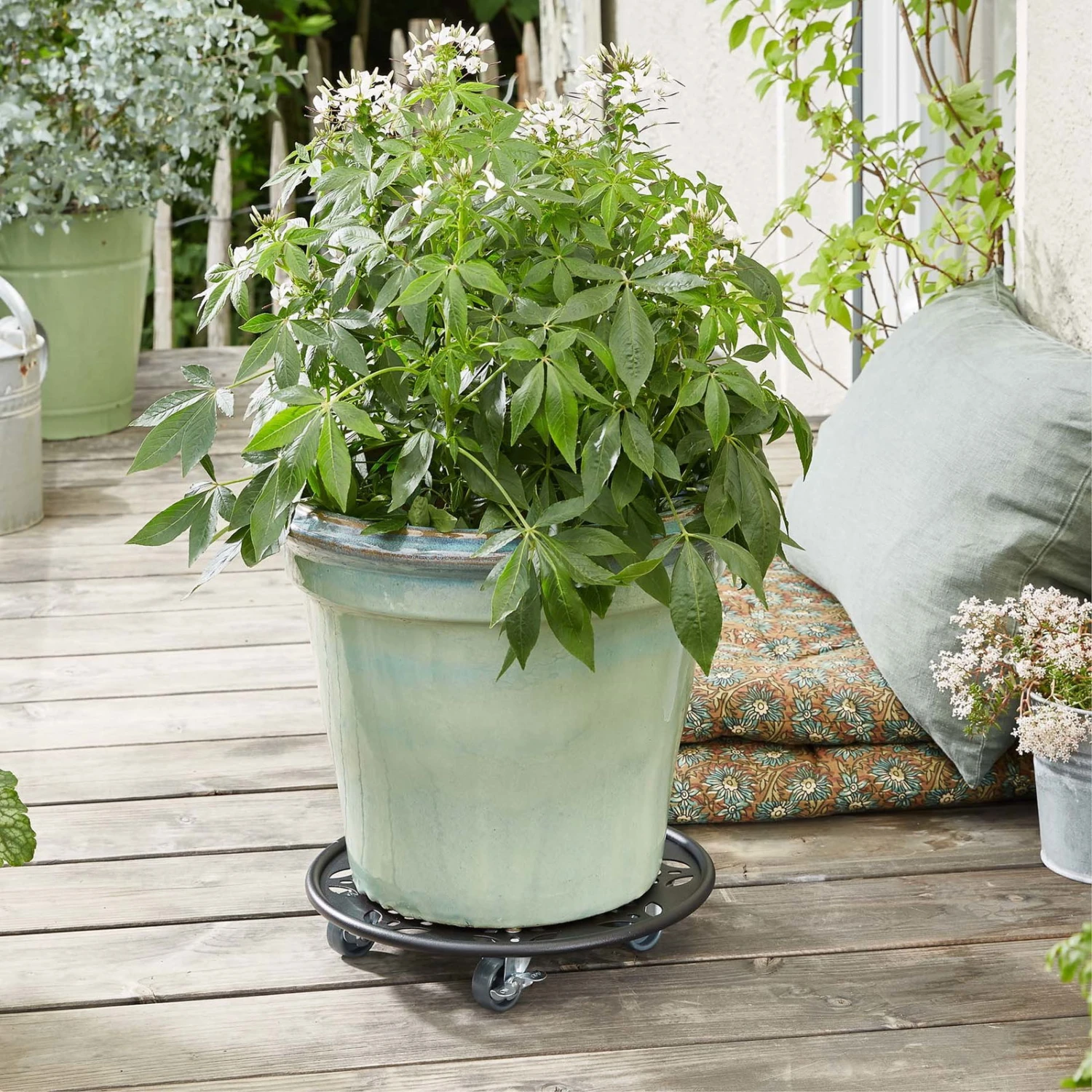 Pflanzenroller GH0936/0937, Tragkraft 100 Kg, Schwarz, Ø 30 Cm 2 Pflanzenroller GH0936/0937, Tragkraft 100 Kg, Schwarz, Ø 30 Cm – Bild 2