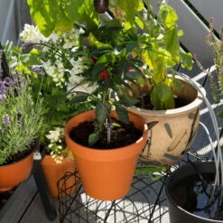 Gardena Urlaubsbewässerung City-Gardening, Bis Zu 36 Töpfe, Transformator, Zeitschaltuhr -Stilvolles Gartenmöbelgeschäft 0930100238 city Gardening Urlaubsbewaesserung fuer bis zu 36 Topfpflanzen 3 61508