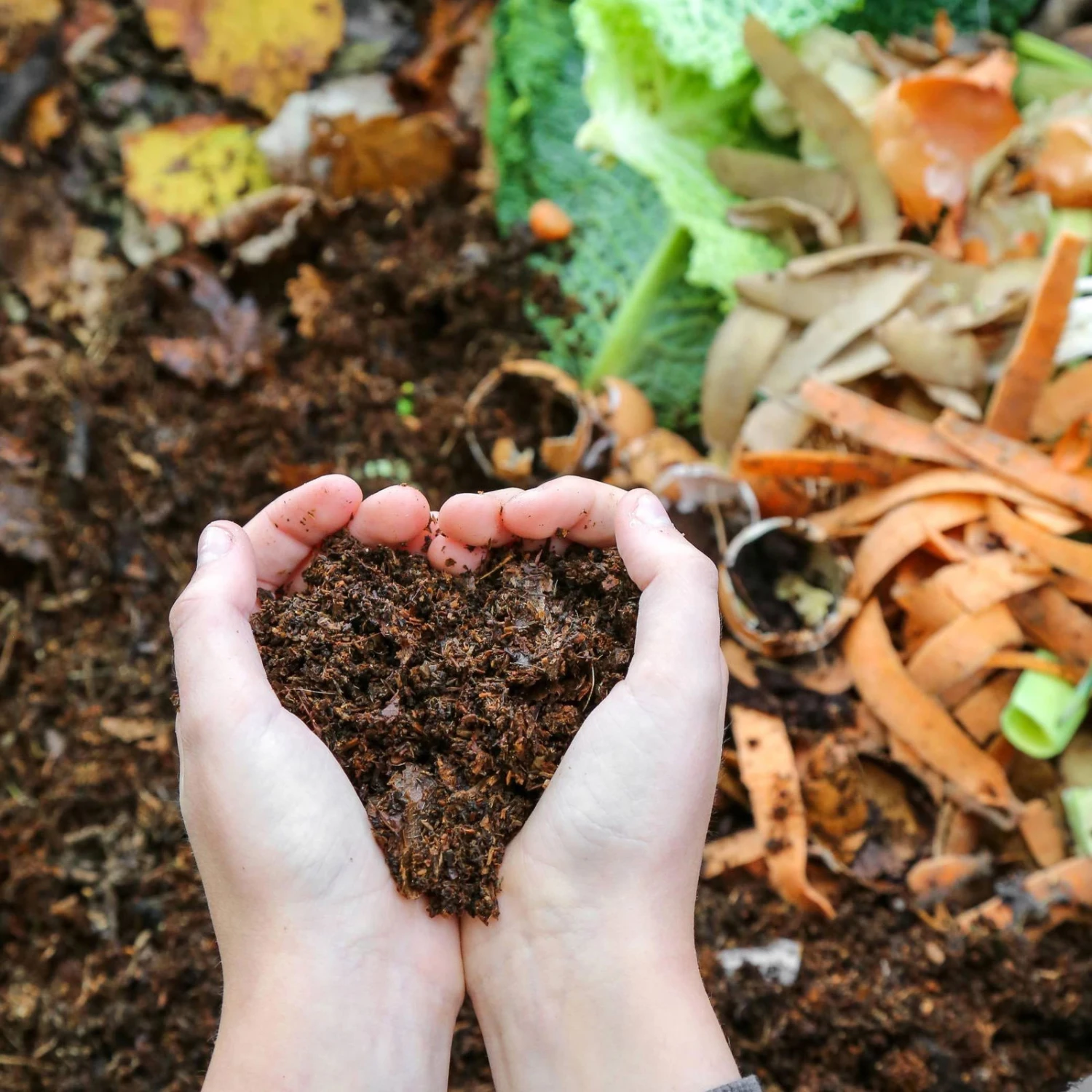 Feuerverzinkter Komposter 3 Feuerverzinkter Komposter – Bild 3