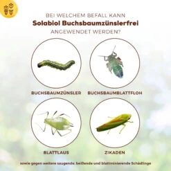 Solabiol Buchsbaumzünsler-Schutz, 50 Ml -Stilvolles Gartenmöbelgeschäft 0950200746 Solabiol Buchsbaumzuensler Schaedlingsfrei 50ml 3 107237