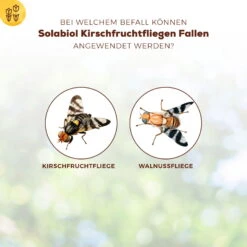 Solabiol Kirschfruchtfliegenfalle, 5er-Pack 7 Solabiol Kirschfruchtfliegenfalle, 5er-Pack -Stilvolles Gartenmöbelgeschäft 0950200760 Solabiol Kirschfruchtfliegenfalle 5Stueck 1 107242