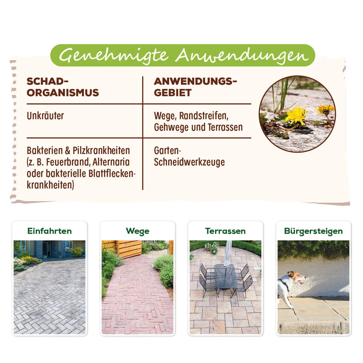 Grundstoff Acetum, Solabiol®, 3 Liter 2 Grundstoff Acetum, Solabiol®, 3 Liter – Bild 2