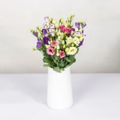 Gemischter Blumenbund 'Lisianthus' Inkl. Gratis Grußkarte -Stilvolles Gartenmöbelgeschäft 1015700001 Lisianthus Mix 10er Bund weiss blau rosa WS 2 94400