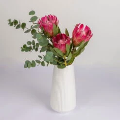 Blumenbund Protea 'Silvia' & Eukalyptus, Inkl. Gratis Grußkarte 5 Blumenbund Protea 'Silvia' & Eukalyptus, Inkl. Gratis Grußkarte -Stilvolles Gartenmöbelgeschäft 1025700018 Strauss Protea Silvia mit Cinerea 2 102267