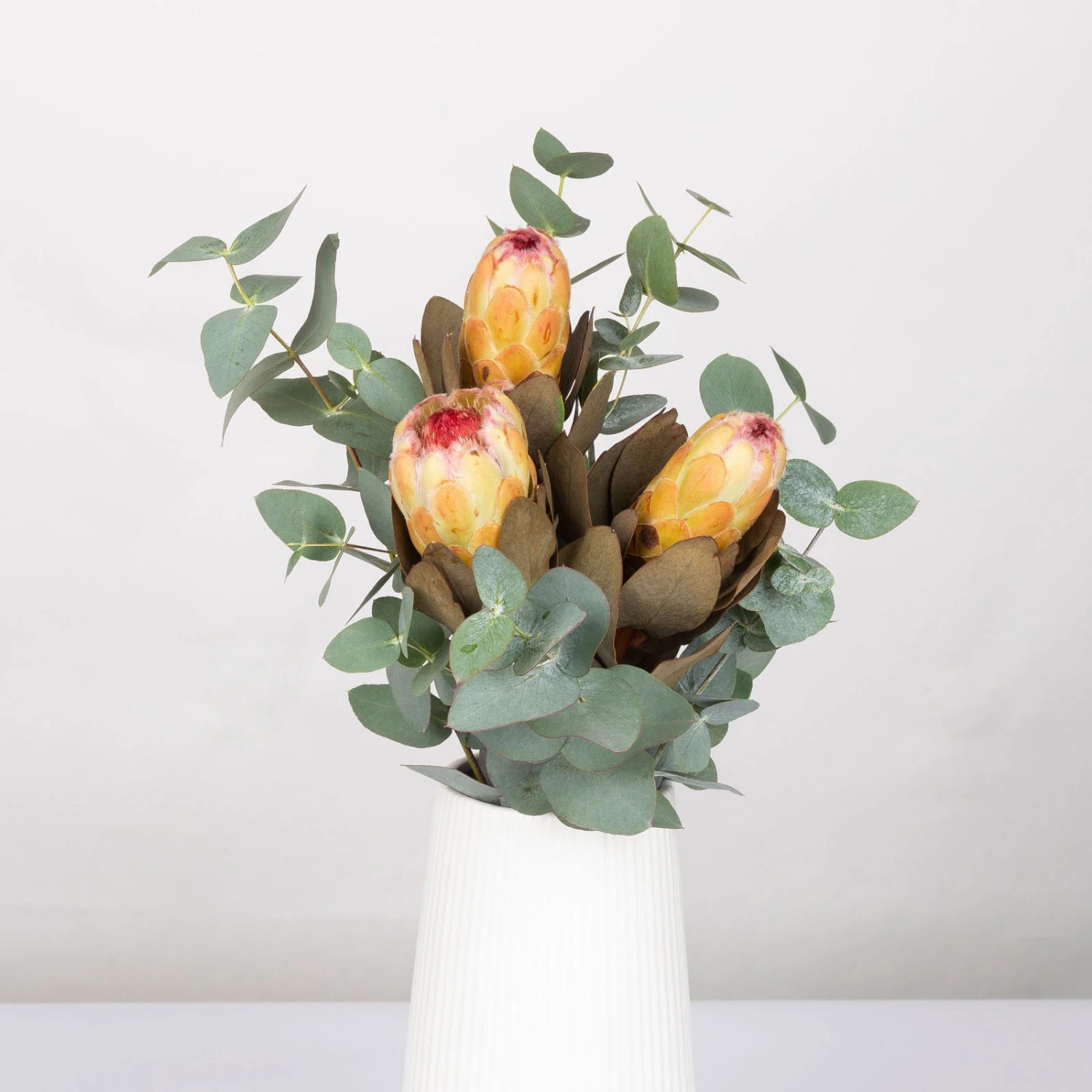 Blumenbund Protea & Eukalyptus, Inkl. Gratis Grußkarte 1 Blumenbund Protea & Eukalyptus, Inkl. Gratis Grußkarte