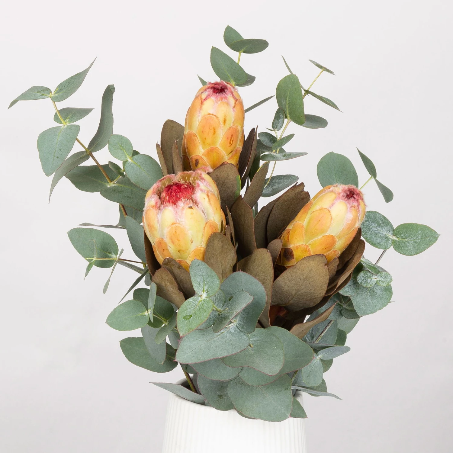 Blumenbund Protea & Eukalyptus, Inkl. Gratis Grußkarte 3 Blumenbund Protea & Eukalyptus, Inkl. Gratis Grußkarte – Bild 3