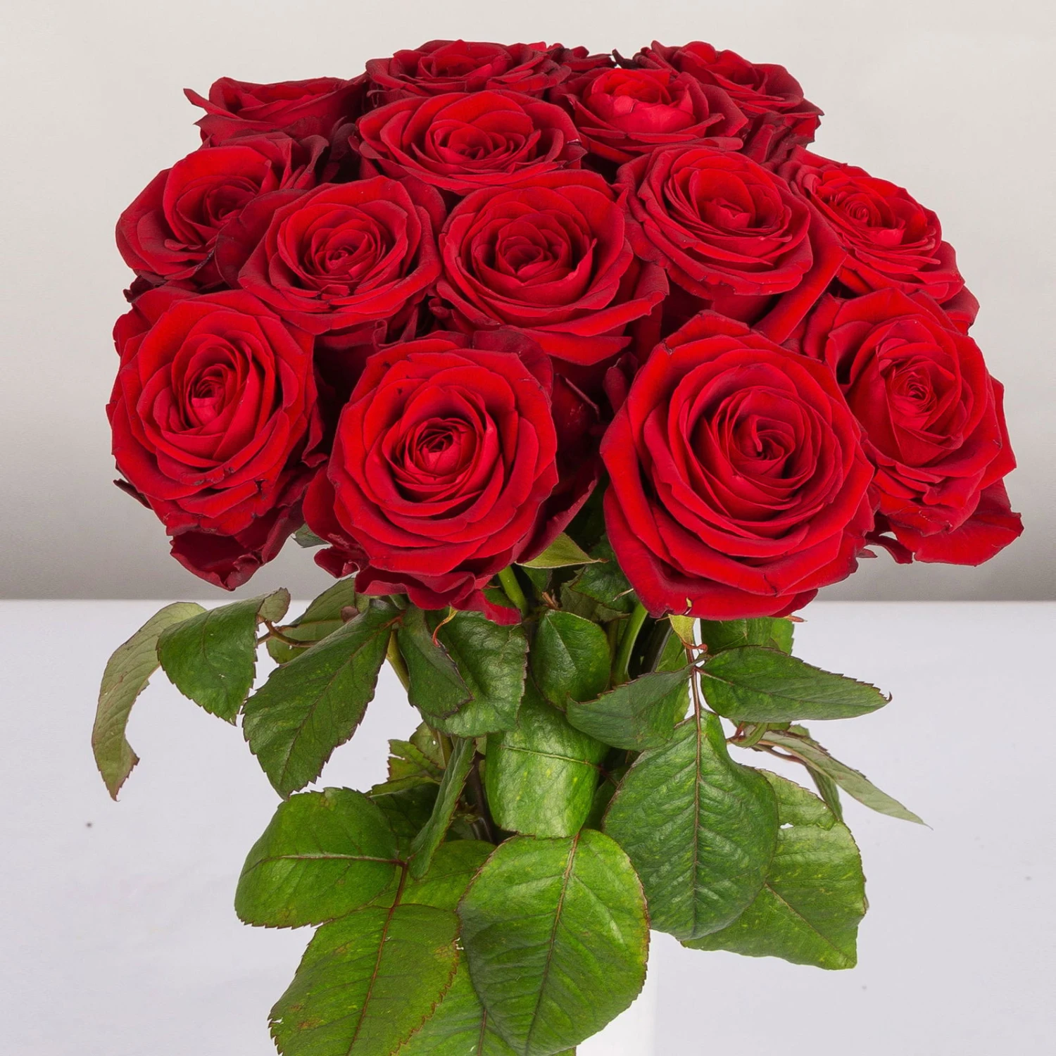 Blumenbund Mit Rosen 'Red Naomi', 15er-Bund, Rot, Inkl. Gratis Grußkarte 1 Blumenbund Mit Rosen 'Red Naomi', 15er-Bund, Rot, Inkl. Gratis Grußkarte