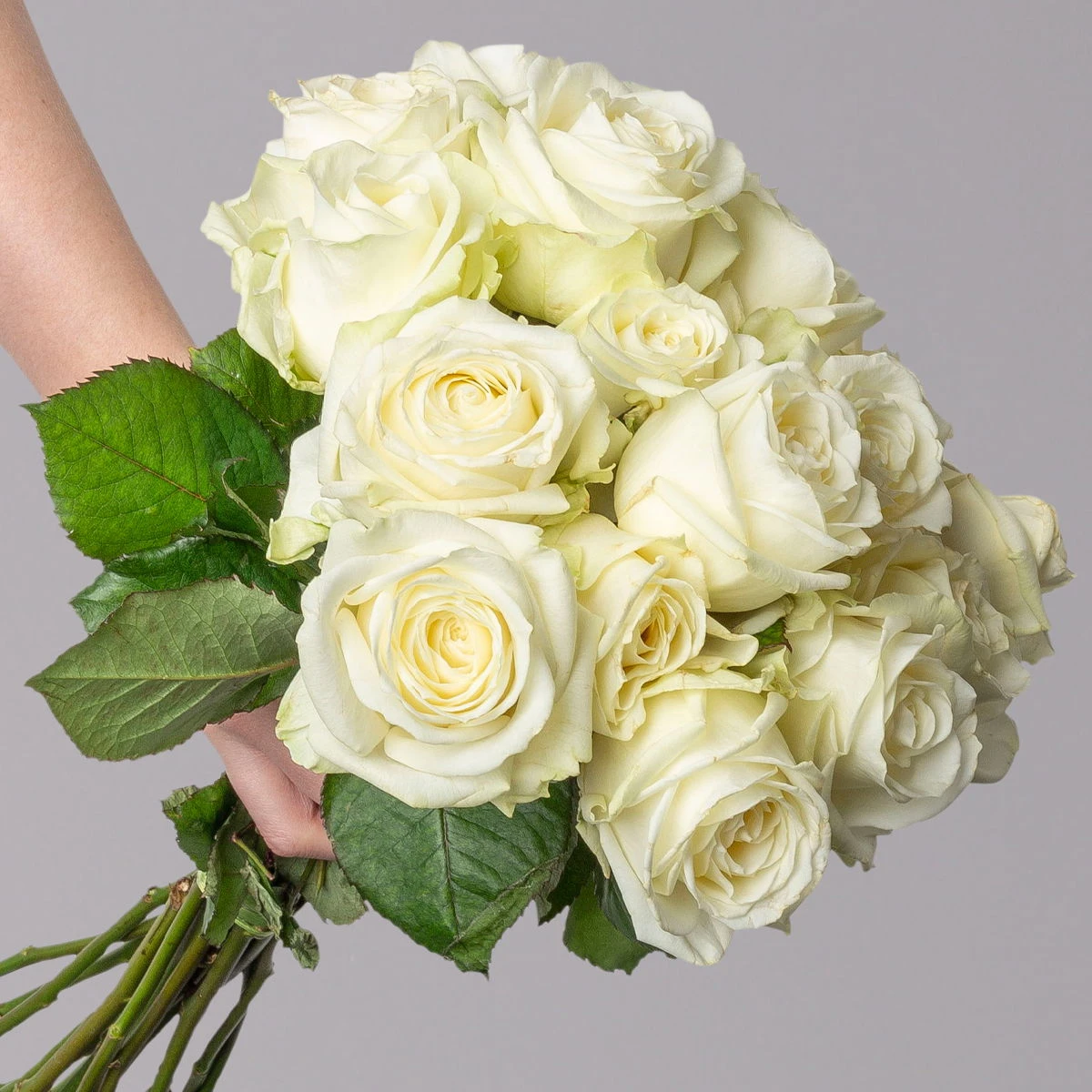 Blumenbund Mit Rosen 'Avalanche', Weiß, 15er-Bund, Inkl. Gratis Grußkarte 2 Blumenbund Mit Rosen 'Avalanche', Weiß, 15er-Bund, Inkl. Gratis Grußkarte – Bild 2