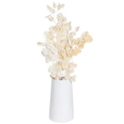 Silbertaler, Getrocknet, Lunaria, Ca. 80 Cm Lang -Stilvolles Gartenmöbelgeschäft 1055300008 Lunaria weiss mit Tuete 1 83201