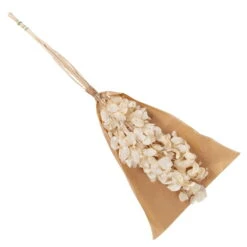 Silbertaler, Getrocknet, Lunaria, Ca. 80 Cm Lang -Stilvolles Gartenmöbelgeschäft 1055300008 Lunaria weiss mit Tuete 83200