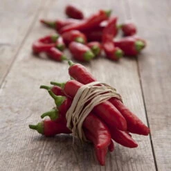 Blu Bio Chilipflanze Zwerg-Chili, Topf-Ø 12 Cm, 3er Set -Stilvolles Gartenmöbelgeschäft 1620330132 Blu Bio Zwerg Chili mit Fruechte T12 3er Set extra scharf 12 124310