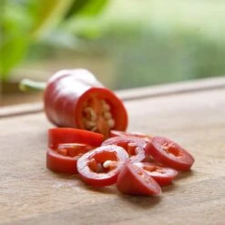 Blu Bio Chilipflanze Zwerg-Chili, Topf-Ø 12 Cm, 3er Set -Stilvolles Gartenmöbelgeschäft 1620330132 Blu Bio Zwerg Chili mit Fruechte T12 3er Set extra scharf 2 124305