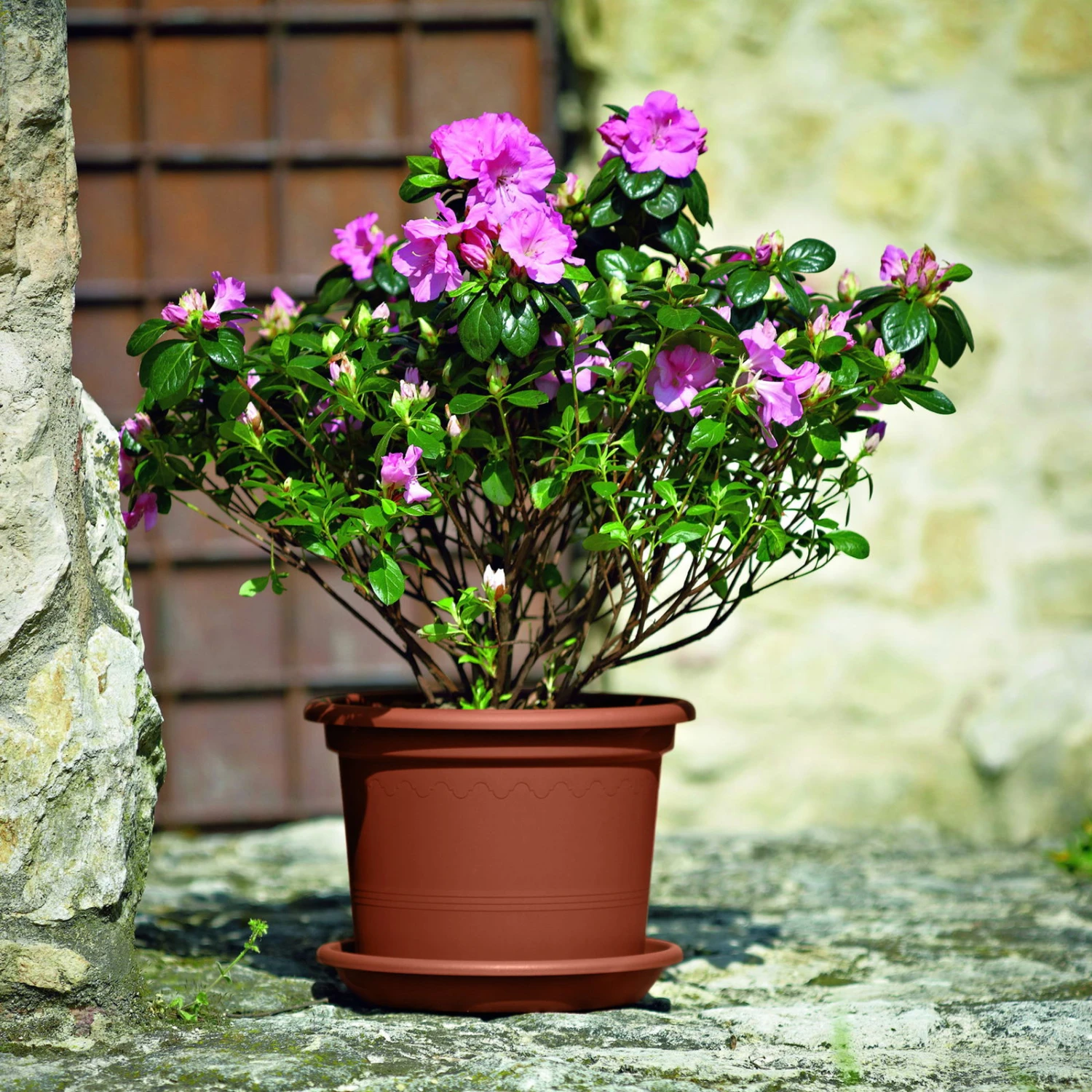 Euro 3 Plast Pflanzkübel Geo Terra 1 Euro 3 Plast Pflanzkübel Geo Terra