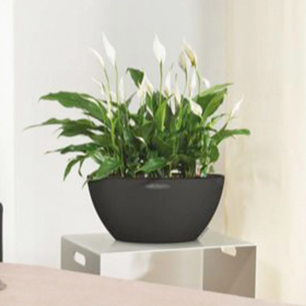 LECHUZA Pflanzschale Cubeto, Graphitschwarz, Ø 30 Cm 1 LECHUZA Pflanzschale Cubeto, Graphitschwarz, Ø 30 Cm