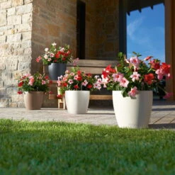 LECHUZA Pflanzgefäß 'Classico Color 70', Grau, Ø 70 X H 64,5 Cm -Stilvolles Gartenmöbelgeschäft 3210103919 Pflanzgefaess Classico Color 60 All in 1 schiefergrau 3 109198 1