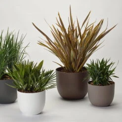 Pflanzkübel 'Rio', Taupe, Ø 34 X H 28 Cm -Stilvolles Gartenmöbelgeschäft 3210104130 3210104131 3210104132 3210104133 pflanzkuebel rio 122622