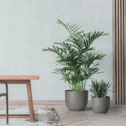 Pflanzkübel 'Rio', Taupe, Ø 34 X H 28 Cm -Stilvolles Gartenmöbelgeschäft 3210104133 pflanzkuebel rio 2 122629