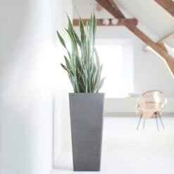 Pflanzgefäß 'Rotterdam MidHigh', Grau -Stilvolles Gartenmöbelgeschäft 3210104153 pflanzgefaess rotterdam high 1 117471