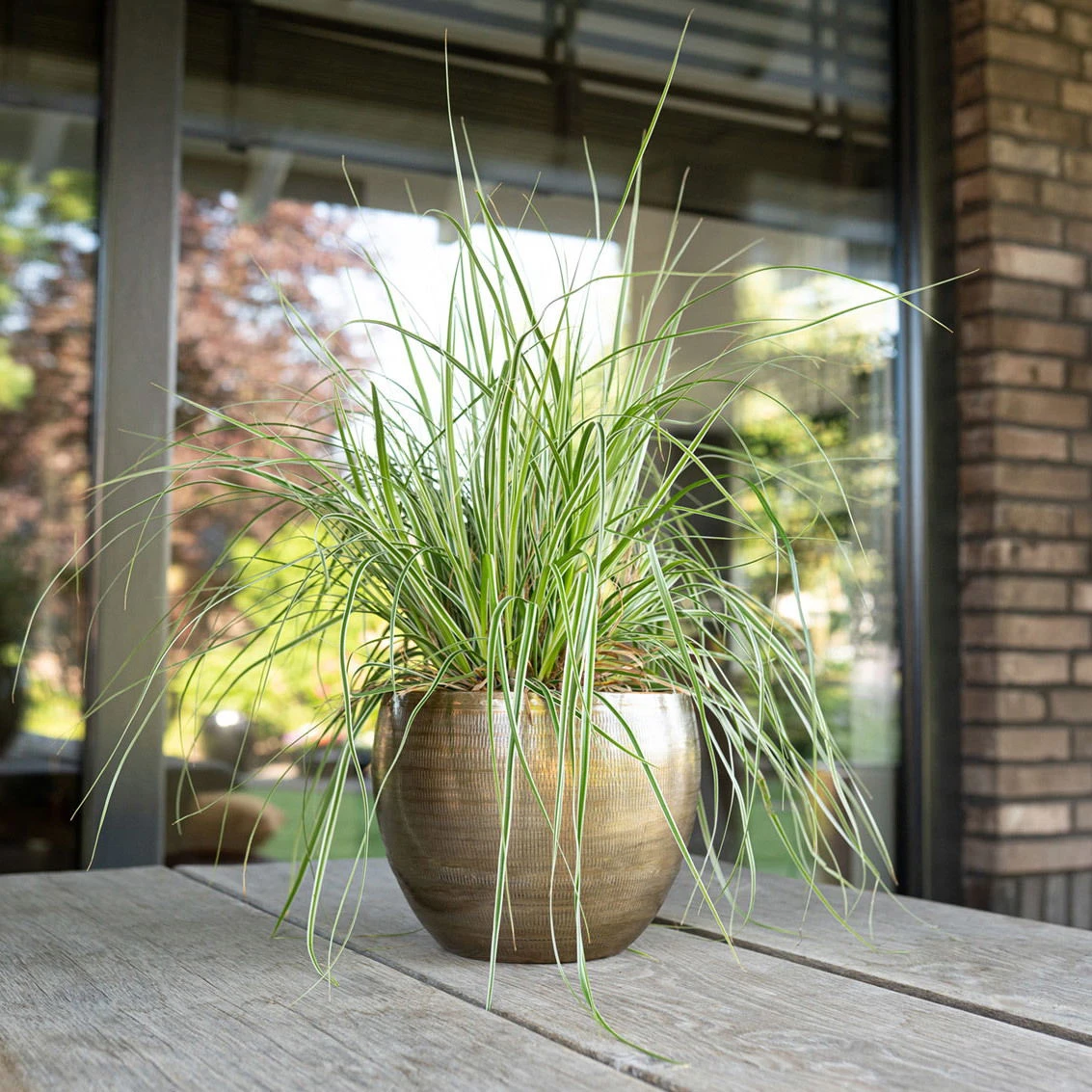 Pflanzgefäß 'Rowen', Gold, Ø 19 X H 13 Cm 1 Pflanzgefäß 'Rowen', Gold, Ø 19 X H 13 Cm