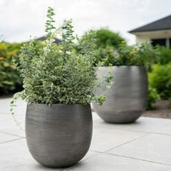 Pflanzgefäß 'Rowen', Silber, Ø 38 X H 30 Cm 16 Pflanzgefäß 'Rowen', Silber, Ø 38 X H 30 Cm -Stilvolles Gartenmöbelgeschäft 3210801625 3210801626 3210801627 3210801628 Pflanzgefaess Rowen silber 2 114999