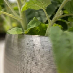 Pflanzgefäß 'Rowen', Silber, Ø 38 X H 30 Cm 11 Pflanzgefäß 'Rowen', Silber, Ø 38 X H 30 Cm -Stilvolles Gartenmöbelgeschäft 3210801625 3210801626 3210801627 3210801628 Pflanzgefaess Rowen silber 9 115005