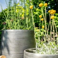 Pflanzgefäß 'Rowen', Silber, Ø 47 X H 82 Cm -Stilvolles Gartenmöbelgeschäft 3210801635 3210801636 3210801637 3210801638 Pflanzgefaess Rowen silber 12 115029