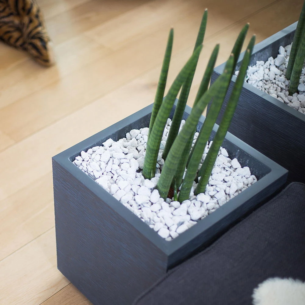 Pflanztrog Graphit Dado, Anthrazit – Bild 3