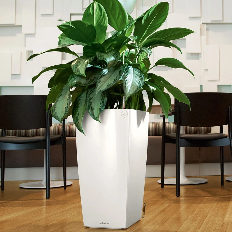 LECHUZA Cubico Premium 40, Weiß Hochglanz, All-in-One-Set, 40 X 40, H:75 Cm 1 LECHUZA Cubico Premium 40, Weiß Hochglanz, All-in-One-Set, 40 X 40, H:75 Cm