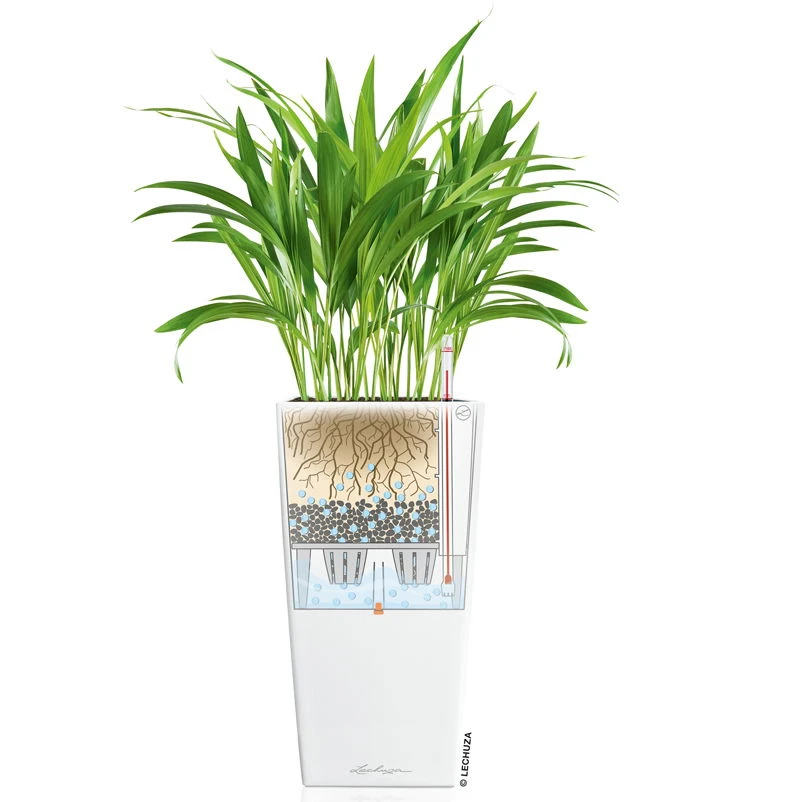 LECHUZA Cubico Premium 40, Weiß Hochglanz, All-in-One-Set, 40 X 40, H:75 Cm 3 LECHUZA Cubico Premium 40, Weiß Hochglanz, All-in-One-Set, 40 X 40, H:75 Cm – Bild 3