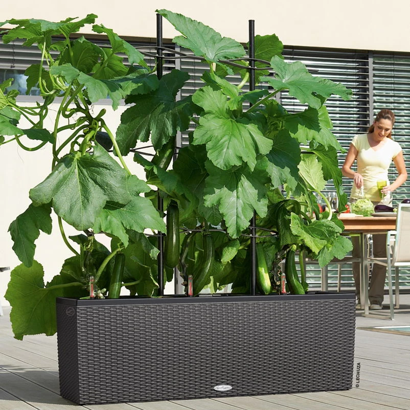 Lechuza Trio Cottage 30, Granit, All-in-One-Set 1 Lechuza Trio Cottage 30, Granit, All-in-One-Set