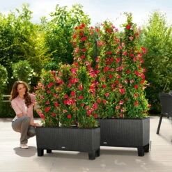 Lechuza Trio Cottage 30, Granit, All-in-One-Set 5 Lechuza Trio Cottage 30, Granit, All-in-One-Set -Stilvolles Gartenmöbelgeschäft 3325200021 Trio Cottage30 granit All in OneSet 100x32x34cm RGB 7626