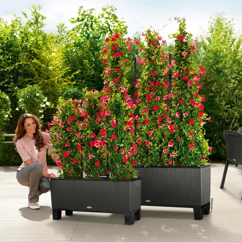 Lechuza Trio Cottage 30, Granit, All-in-One-Set 3 Lechuza Trio Cottage 30, Granit, All-in-One-Set – Bild 3