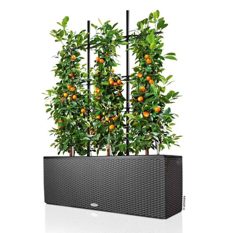 Lechuza Trio Cottage 30, Granit, All-in-One-Set 2 Lechuza Trio Cottage 30, Granit, All-in-One-Set – Bild 2