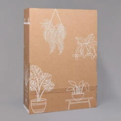 Philodendron 'Brasil' In Keramiktopf Dallas Weiß, Topf-Ø 12 Cm, 3er-Set -Stilvolles Gartenmöbelgeschäft B2 02 Karton Sets mit Keramik 1 126161 1