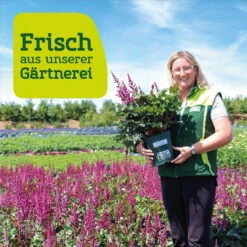 Stilvolles Gartenmöbelgeschäft -Stilvolles Gartenmöbelgeschäft frau setz eigenproduktion