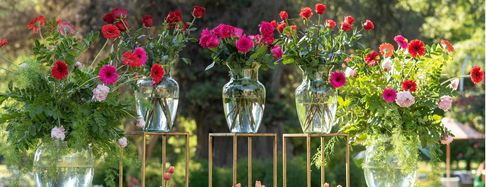 Stilvolles Gartenmöbelgeschäft -Stilvolles Gartenmöbelgeschäft pexels claudia ferrer 2001874974 28998260